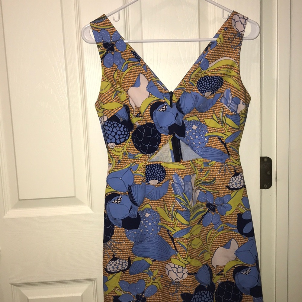 Zara dress